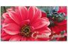 BL210 Geschenkgutschein Multicolor zum Falten / Gärtnerei Gartenbau