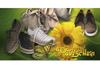 SH236 Geschenkgutschein Multicolor zum Falten / Schuhe Schuhgeschäft Schuhwaren SH236 Geschenkgutschein Multicolor zum Falten / Schuhe Schuhgeschäft Schuhwaren