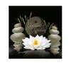 MA404 4Emotion Geschenkgutschein / Massage Wellness Spa Kosmetik Naturheilkunde Physiotherapie MA404 4Emotion Geschenkgutschein / Massage Wellness Spa Kosmetik Naturheilkunde Physiotherapie