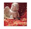 X702 Booklet-Gutschein / Weihnachten Weihnachtsfest X-mas X702 Booklet-Gutschein / Weihnachten Weihnachtsfest X-mas