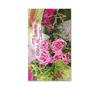 BL58 Bonus-Card 10FH / Blumen Blumenhandlung Blumengeschäft