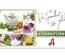 Geschenkgutscheine Apotheke Pharmazie Österreich