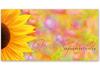 BL237 Geschenkgutschein Multicolor zum Falten / Blumen Blumenhandlung Blumengeschäft BL237 Geschenkgutschein Multicolor zum Falten / Blumen Blumenhandlung Blumengeschäft