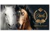 SP239 Geschenkgutschein Multicolor zum Falten / Reitsportgeschäft Reiten SP239 Geschenkgutschein Multicolor zum Falten / Reitsportgeschäft Reiten