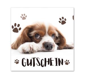 Gutschein für Tierbedarf Tierärzte