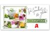 AP239 Geschenkgutschein Multicolor zum Falten / Apotheke Pharmazie