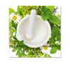 AP105 Caro-Gutschein / Apotheke Pharmazie AP105 Caro-Gutschein / Apotheke Pharmazie