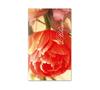 BL47 Bonus-Card 10FH / Gärtnerei Gartenbau BL47 Bonus-Card 10FH / Gärtnerei Gartenbau