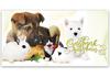 ZH223 Geschenkgutschein Multicolor zum Falten / Tierbedarf Zoohandlung