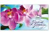 FU204 Geschenkgutschein Multicolor zum Falten / Fußpflegesalon Fußpflege Fußpflegeinstitut Podologie FU204 Geschenkgutschein Multicolor zum Falten / Fußpflegesalon Fußpflege Fußpflegeinstitut Podologie