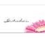 Multicolor Geschenkgutschein Gutscheinvordrucke Gutschein bestellen pos BL219 Blumenhändler Blumenhandlung Blumen Blumengeschäft Blumengutschein