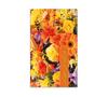 BL60 Bonus-Card 10FH / Blumen Blumenhandlung Blumengeschäft BL60 Bonus-Card 10FH / Blumen Blumenhandlung Blumengeschäft