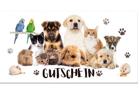 Gutschein Geschenkgutscheine Gutscheine für Kunden drucken blanko bestellen Karten hauer zum selberausfüllen ZH224 Tierbedarf Zoohandel Zoohandlung Tiernahrung Tierfutter