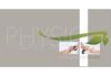 MA249 Geschenkgutschein Multicolor zum Falten / Physiotherapie MA249 Geschenkgutschein Multicolor zum Falten / Physiotherapie