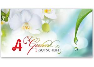 Multicolor Geschenkgutschein Gutscheinvordrucke Gutschein bestellen pos AP232A Apotheke Pharmazie Apothekengutschein