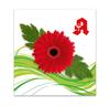 AP706 Booklet-Gutschein / Apotheke Pharmazie AP706 Booklet-Gutschein / Apotheke Pharmazie