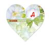 AP450A Herzgutschein / Apotheke Pharmazie
