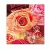U701 Booklet-GS U701 Booklet-GS