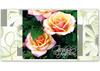 BL228 Geschenkgutschein Multicolor zum Falten / Gärtnerei Gartenbau BL228 Geschenkgutschein Multicolor zum Falten / Gärtnerei Gartenbau