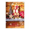 WKX915 Weihnachtspostkarte WKX915 Weihnachtspostkarte