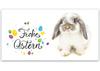 U232 Geschenkgutschein Multicolor zum Falten / Ostern Osterfest U232 Geschenkgutschein Multicolor zum Falten / Ostern Osterfest