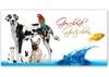 ZH212 Geschenkgutschein Multicolor zum Falten / Tierbedarf Zoohandlung