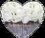 Geschenkgutschein Gutscheinvordrucke Gutschein bestellen Riesen Faltherz FH103 Muttertag Muttertagsgutschein 14. Februar Valentinstag