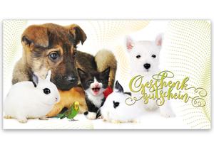 Gutschein Geschenkgutscheine Geschenk Gutscheine für Kunden Druckerei blanko bestellen Karten hauer ZH223 Tierbedarf Zoohandel Zoohandlung Tiernahrung Tierfutter