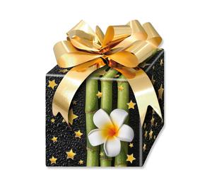 Werbegeschenk Geschenke für Kunden Kundengeschenke XKS100 Kosmetikstudio Kosmetiksalon Kosmetik Kosmetiker Kosmetikgutschein Drogerie Drogeriewaren Ernährungsberatung Wellness Spa Wellnessoase Wellnessgutschein