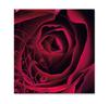 U703 Booklet-Gutschein U703 Booklet-Gutschein