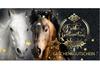 XSP239 Geschenkgutschein Multicolor zum Falten / Reitsportgeschäft Reitstunden XSP239 Geschenkgutschein Multicolor zum Falten / Reitsportgeschäft Reitstunden