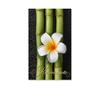MA564 Kundenkarte 9FD / Massage Wellness Spa Kosmetik Naturheilkunde Physiotherapie MA564 Kundenkarte 9FD / Massage Wellness Spa Kosmetik Naturheilkunde Physiotherapie