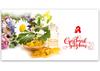 AP241 Geschenkgutschein Multicolor zum Falten / Apotheke Pharmazie
