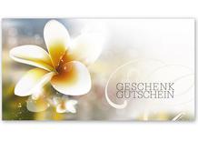 Gutscheinkarte Geschenkgutscheine geschenkgutscheine.com Klappkarten pos-hauer MA240 Masseure Massagepraxis Massage Massagen Massageinstitut Massagetherapie Massagegutschein Physio Physiotherapie