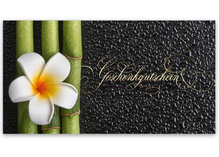 Gutscheinkarte Geschenkgutscheine geschenkgutscheine.com bestellen Klappkarten pos-hauer MA259 Massageinstitut Massagepraxis Massagegutschein Wellness Spa Kosmetikinstitut Naturheilkunde Physiotherapie