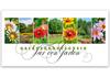 BL264 Geschenkgutschein Multicolor zum Falten / Gärtnerei Gartenbau